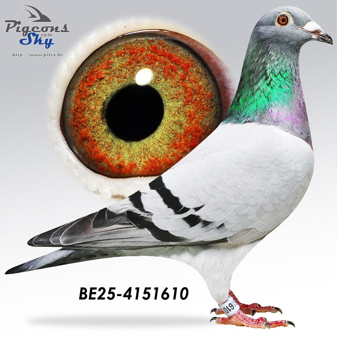BE25-4151610