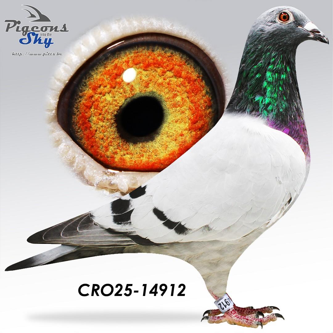 CRO25-14912
