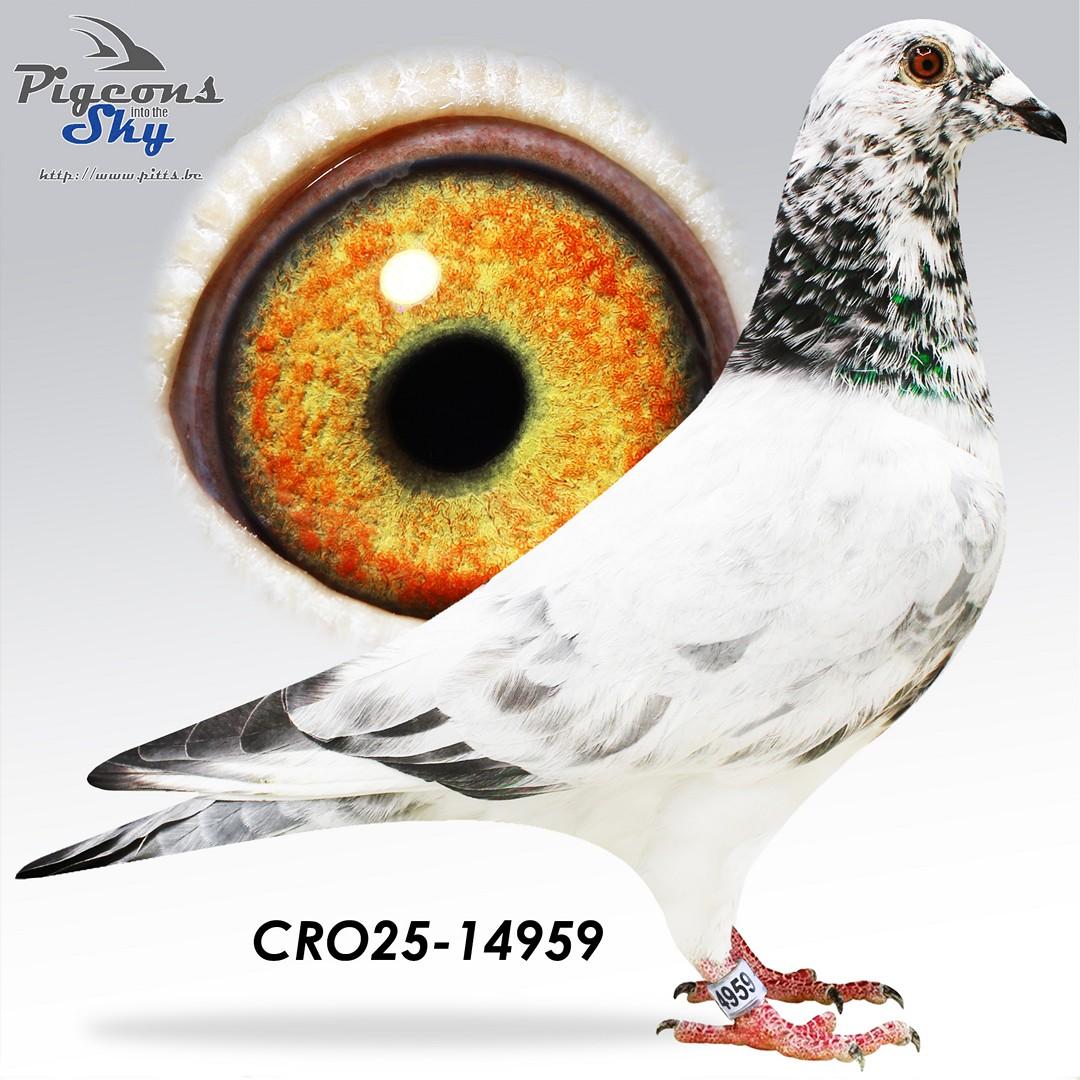 CRO25-14959
