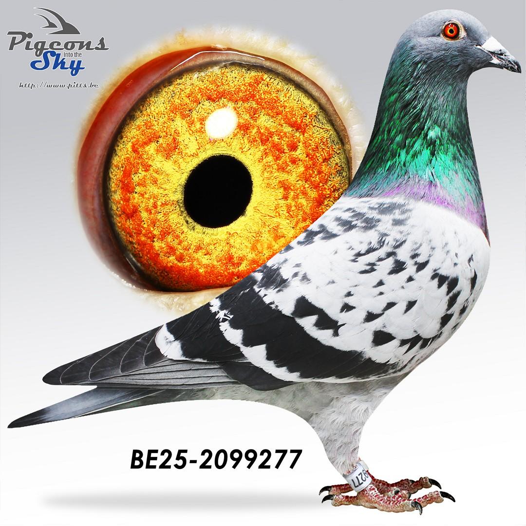 BE25-2099277