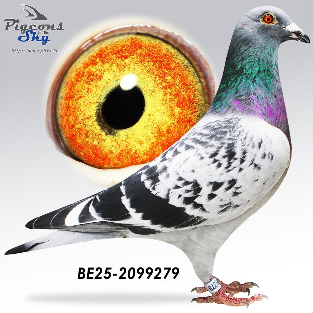 BE25-2099279