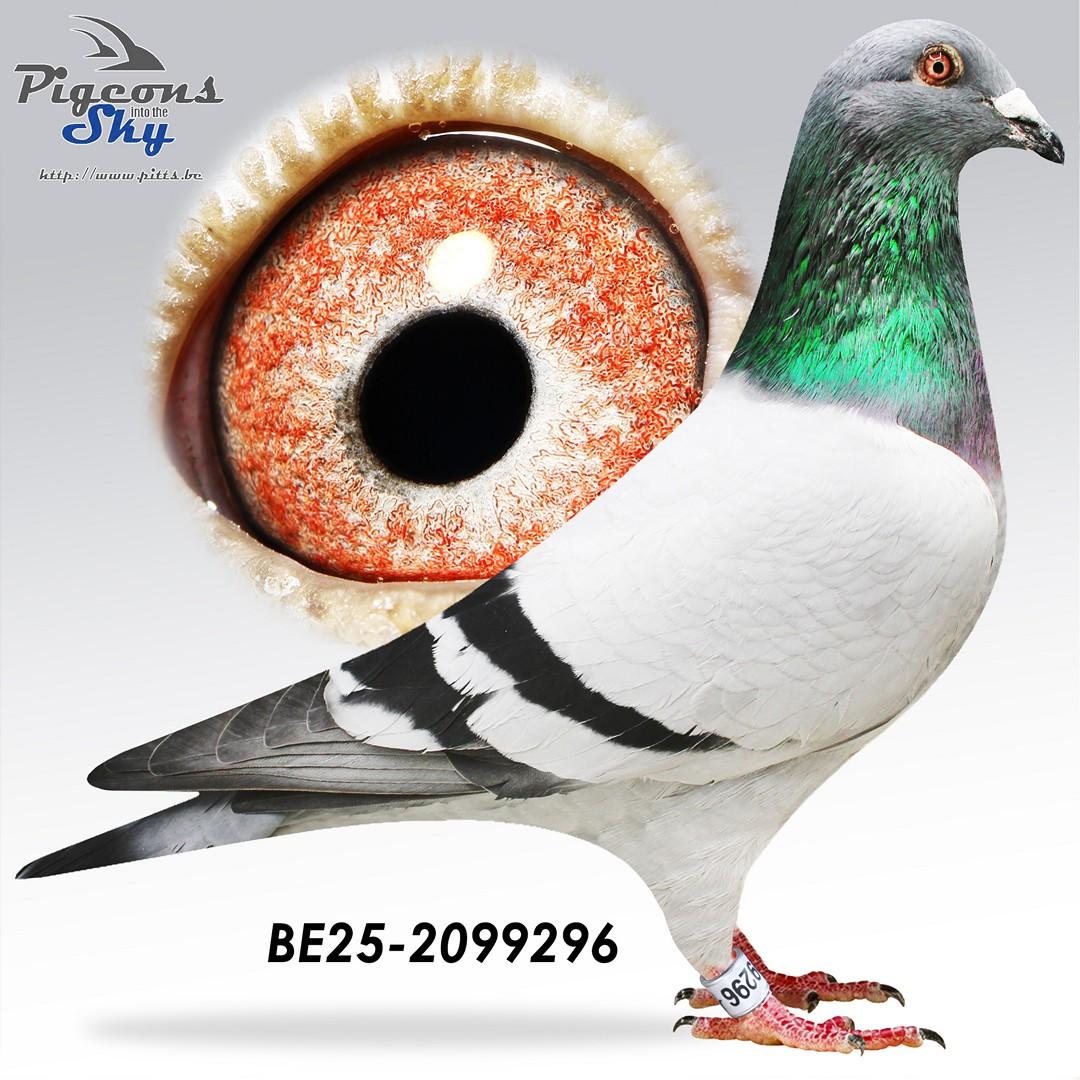 BE25-2099296