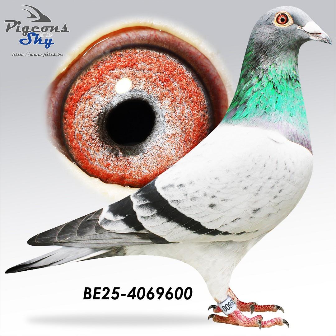 BE25-4069600