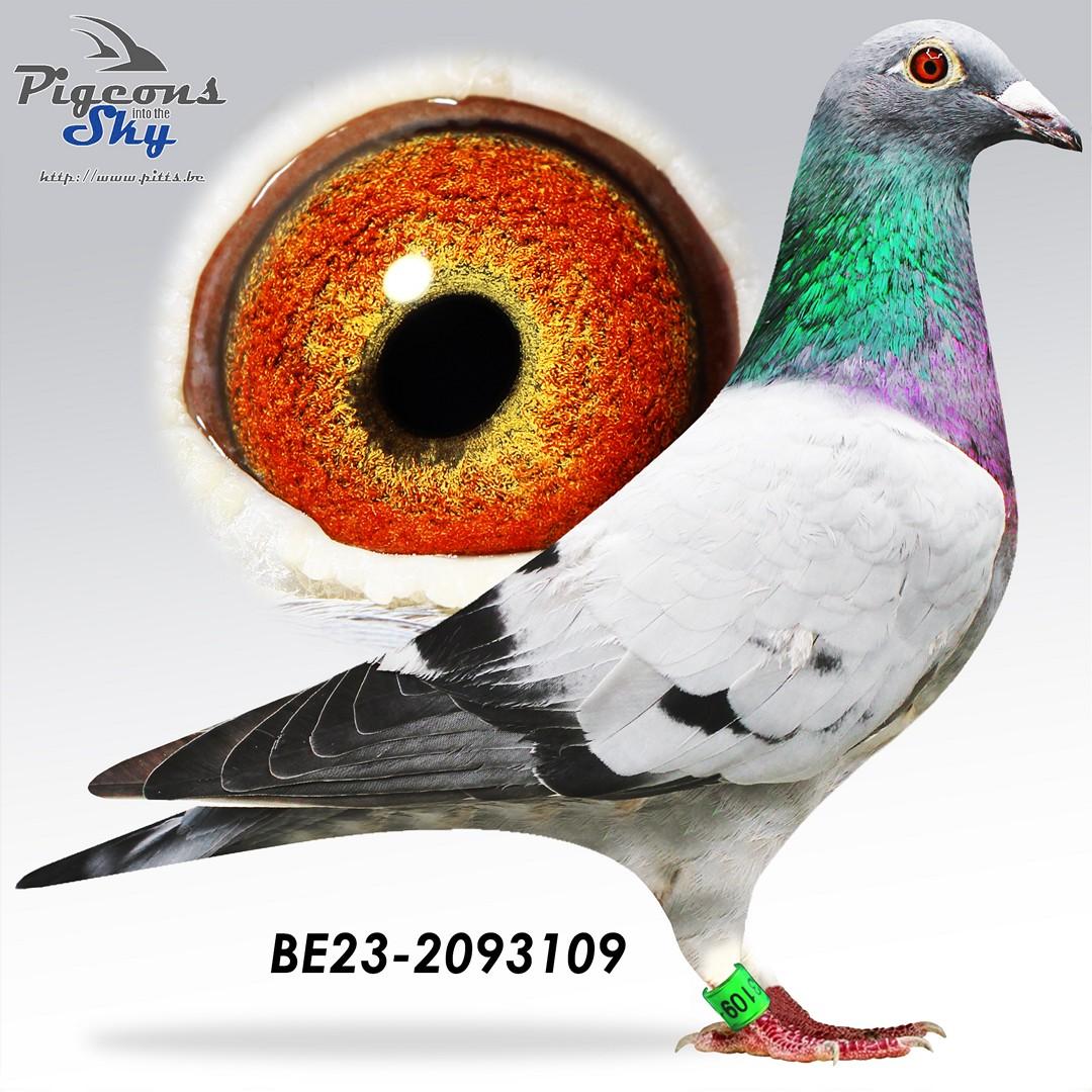 BE23-2093109