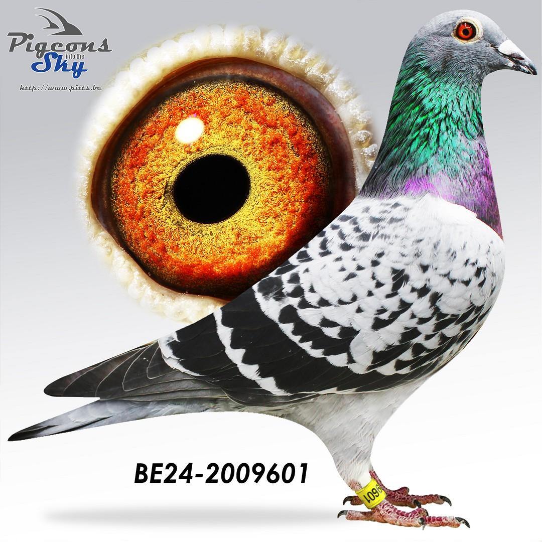 BE24-2009601