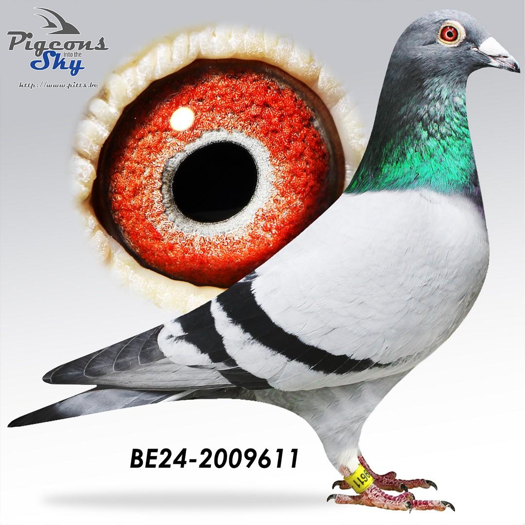 BE24-2009611