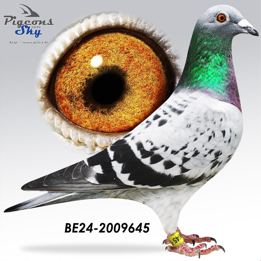 BE24-2009645