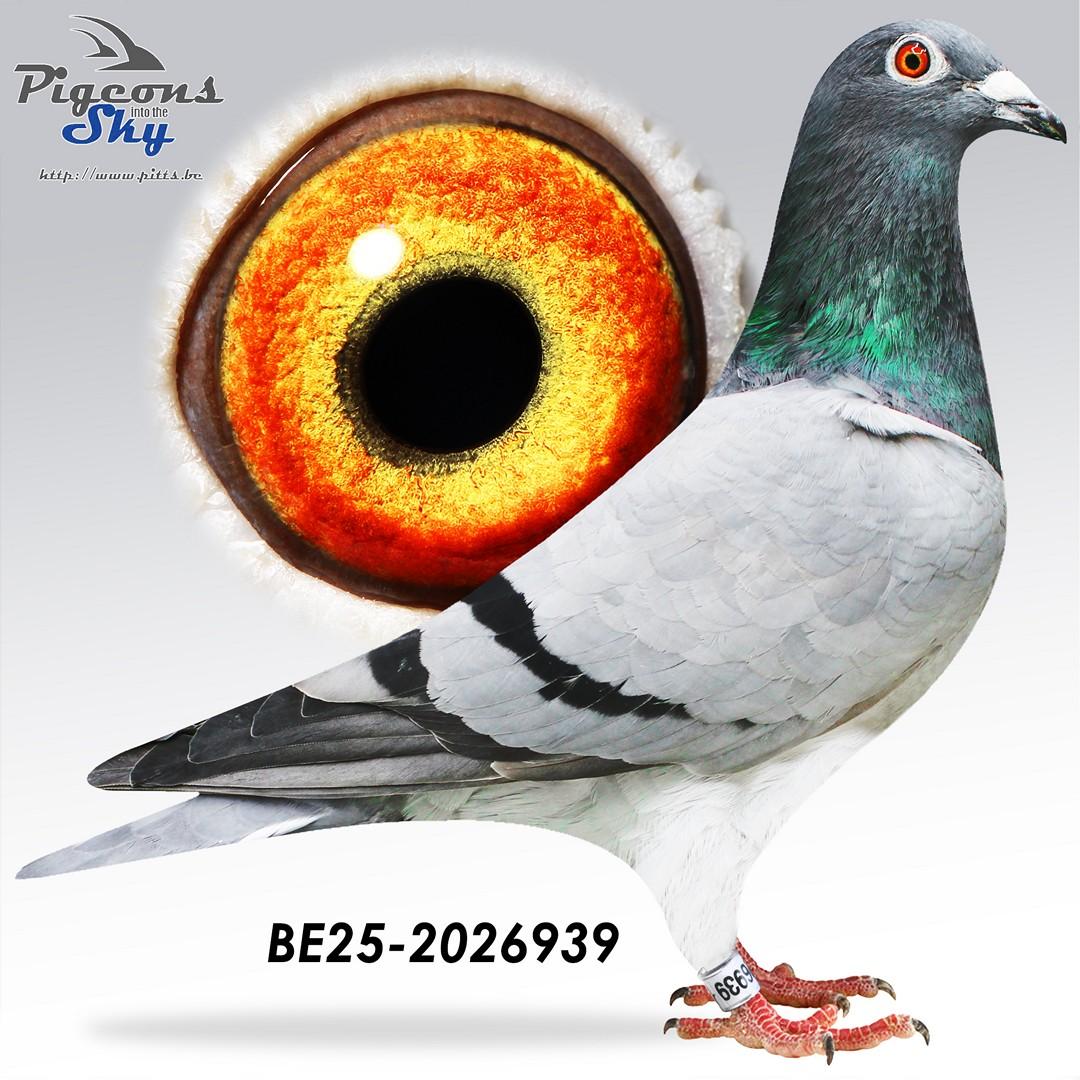 BE25-2026939