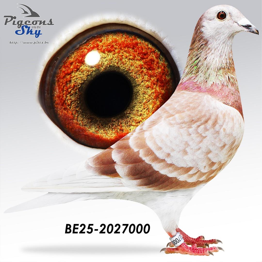 BE25-2027000