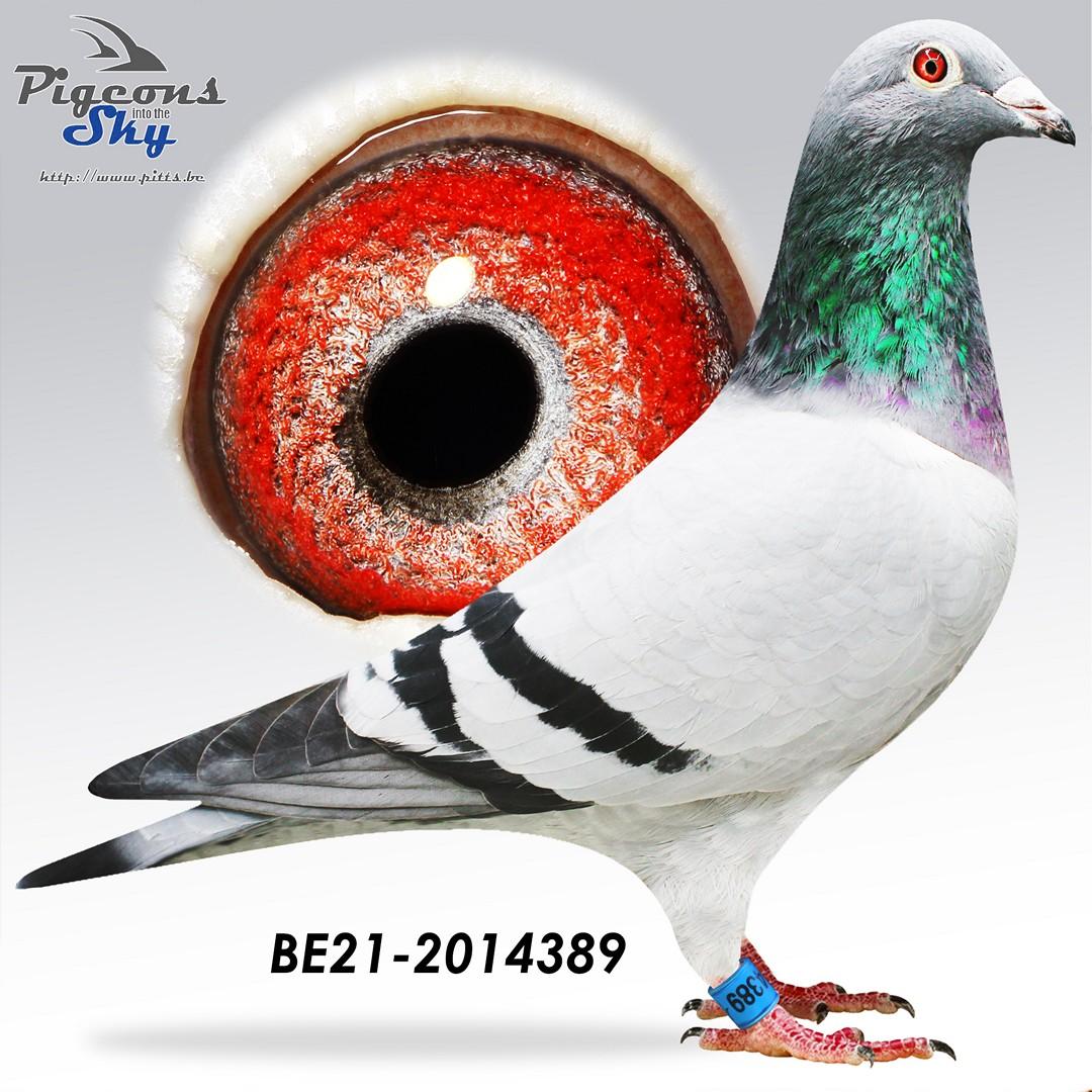 BE21-2014389