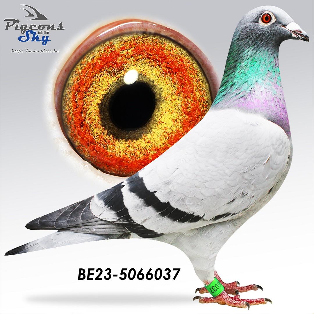 BE23-5066037