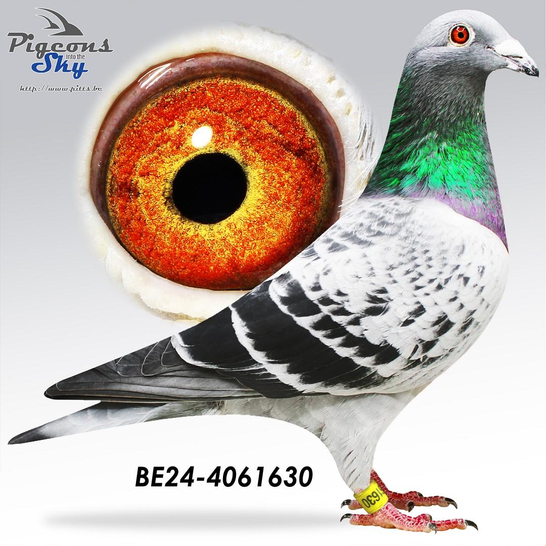 BE24-4061630