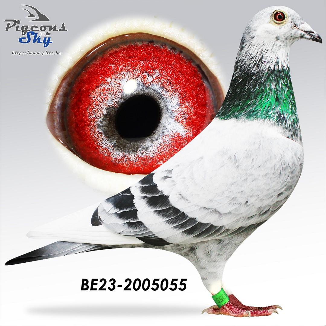 BE23-2005055