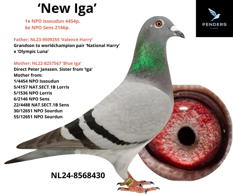 De 430 aangepast met tekst