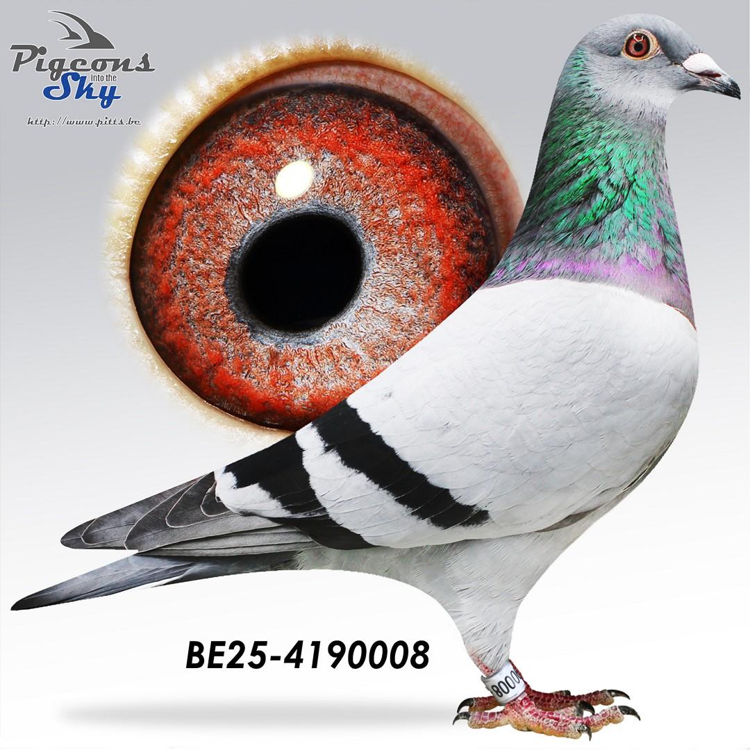 BE25-4190008