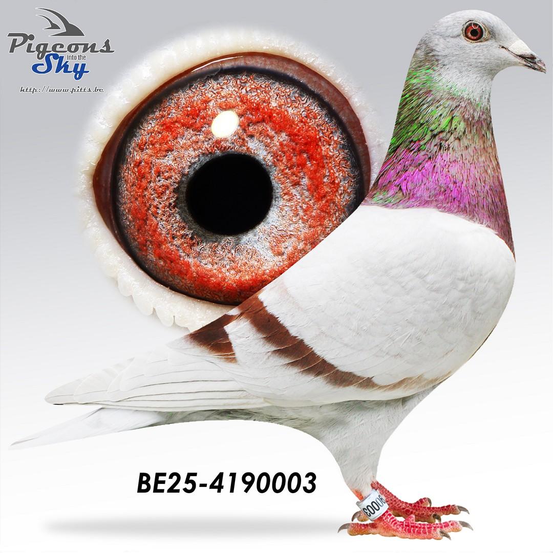 BE25-4190003
