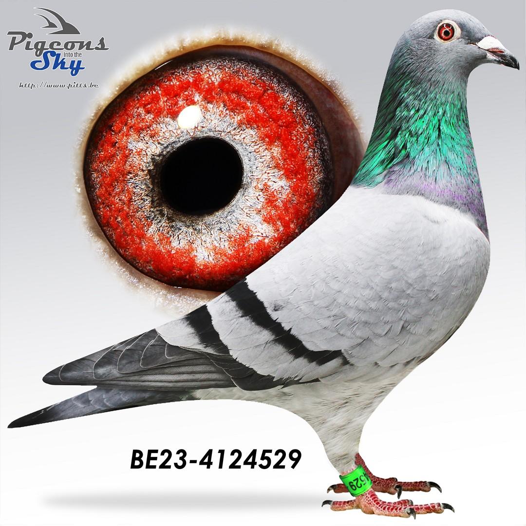 BE23-4124529