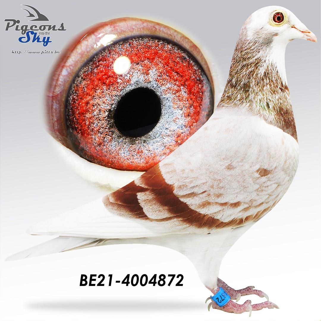 BE21-4004872
