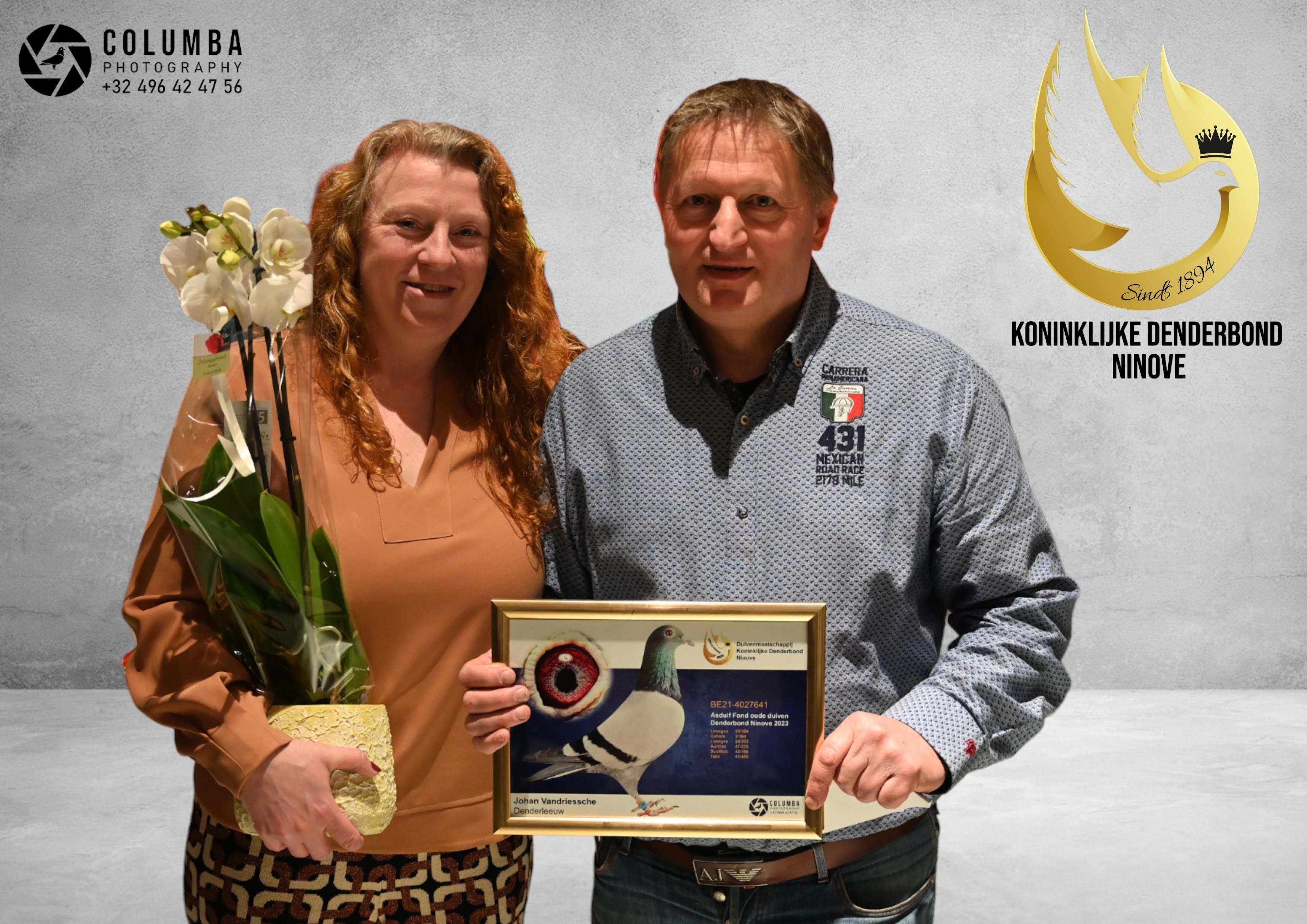 Van Driessche Johan (Denderleeuw	)schenkt een	jonge duif 2026 op afspraak.