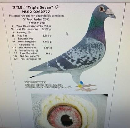 TRIPLE SEVEN NL02-0260777