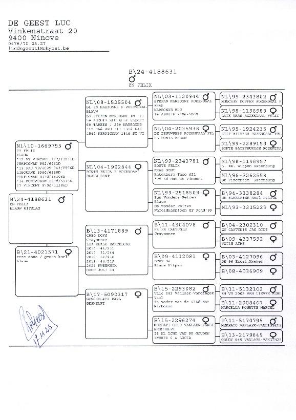 de geest luc stamboom