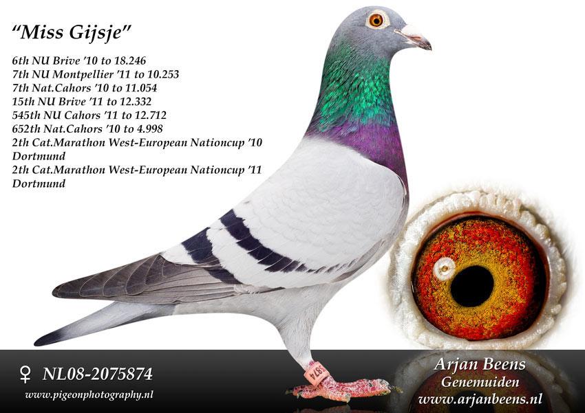 Miss GIJSJE NL08-2075874