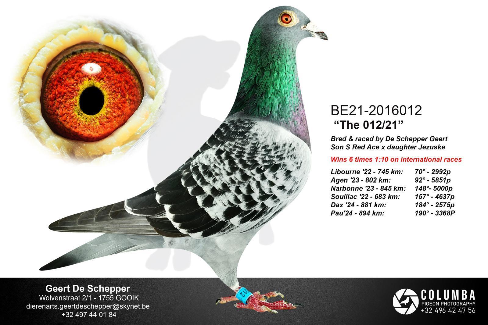 de schepper geert foto the 012-21