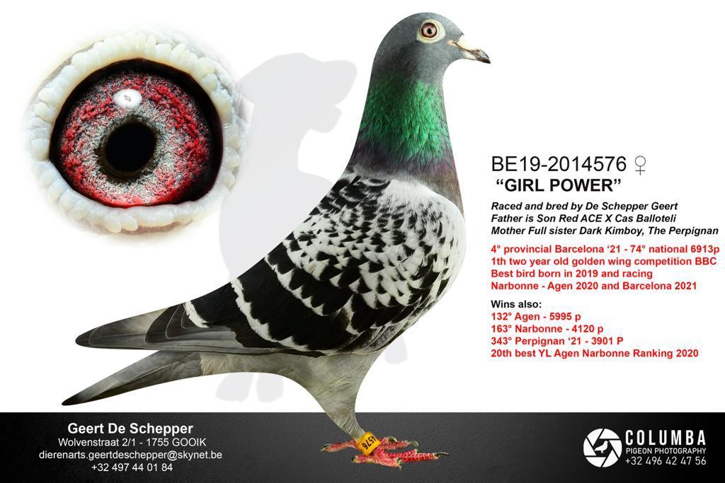 de schepper geert foto girl power