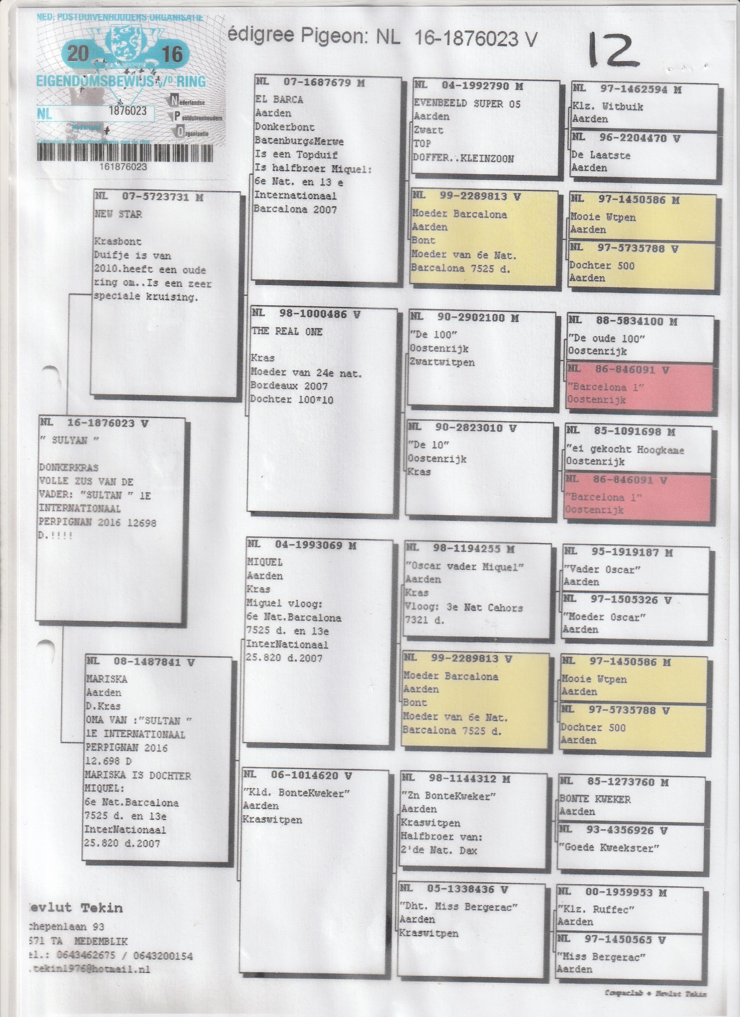 deneys herman pedegree moeder