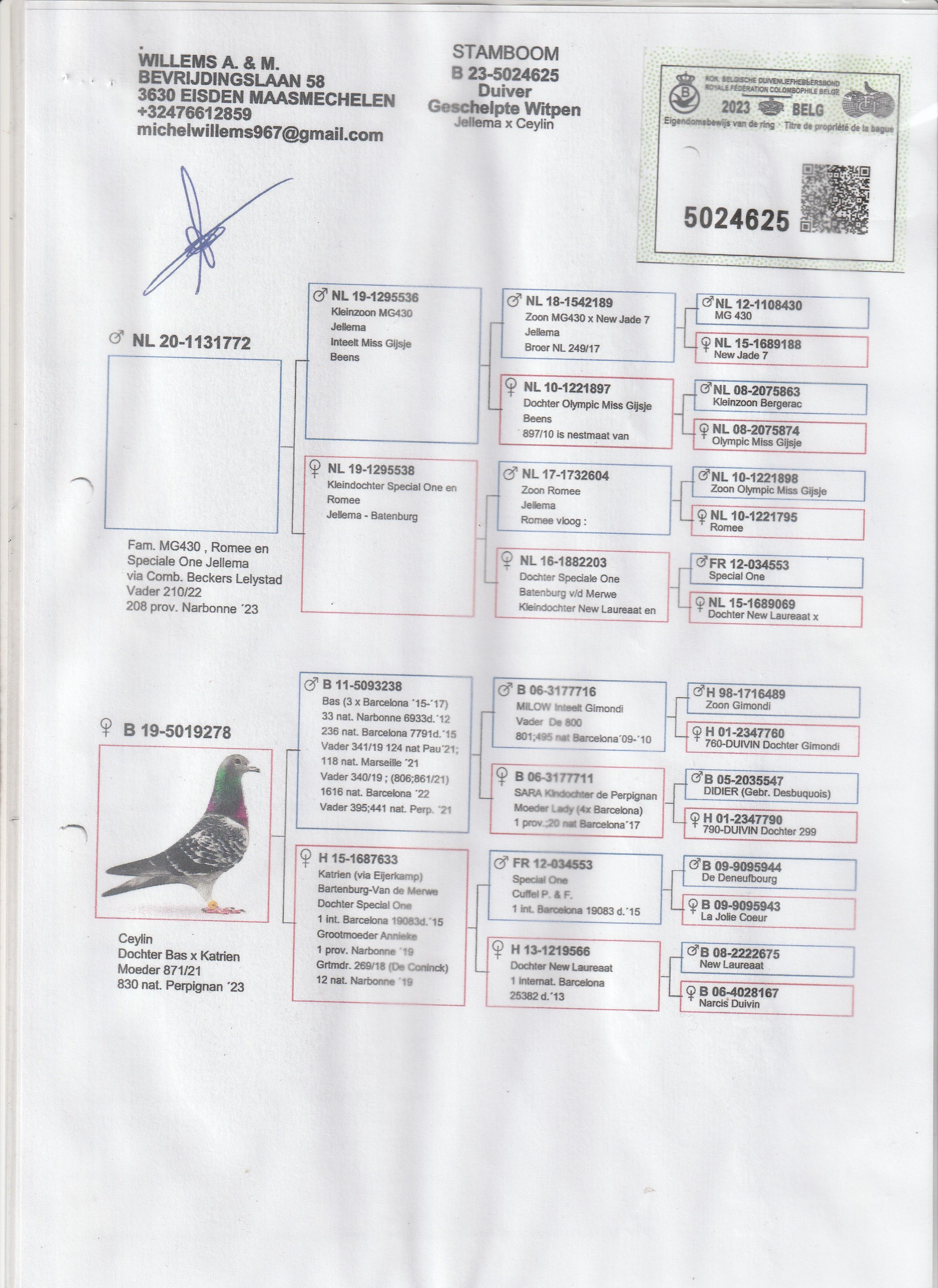 deneys herman pedegree vader