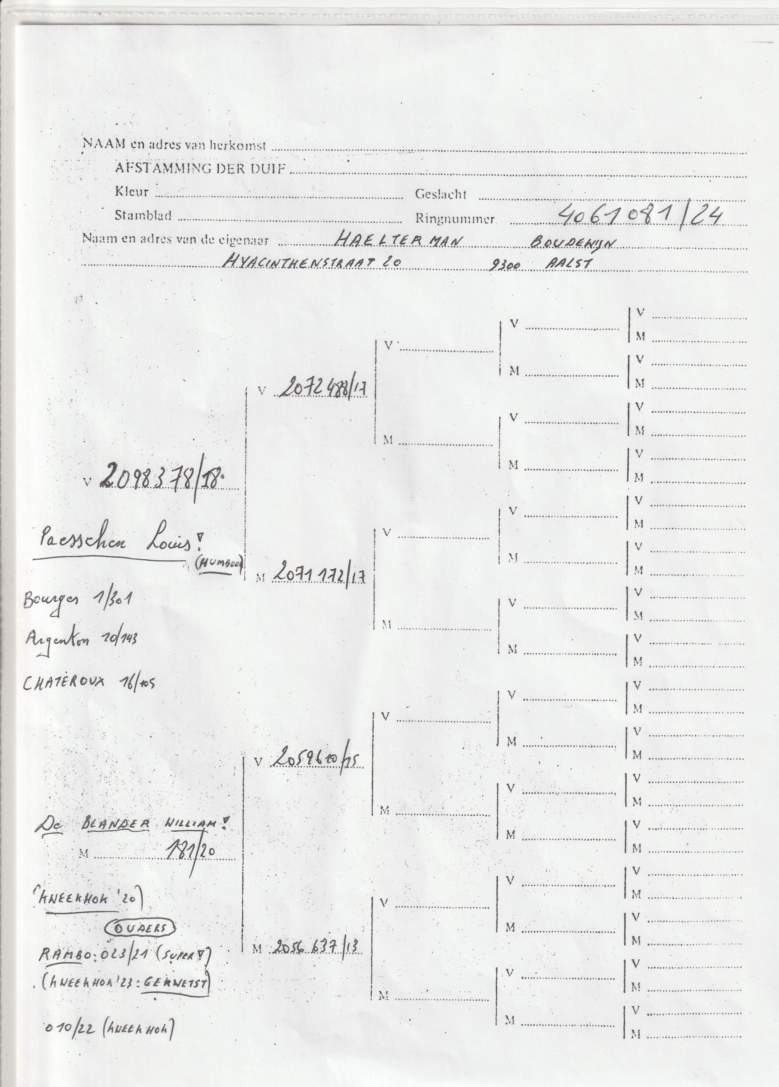 haelterman boudewijn pedegree