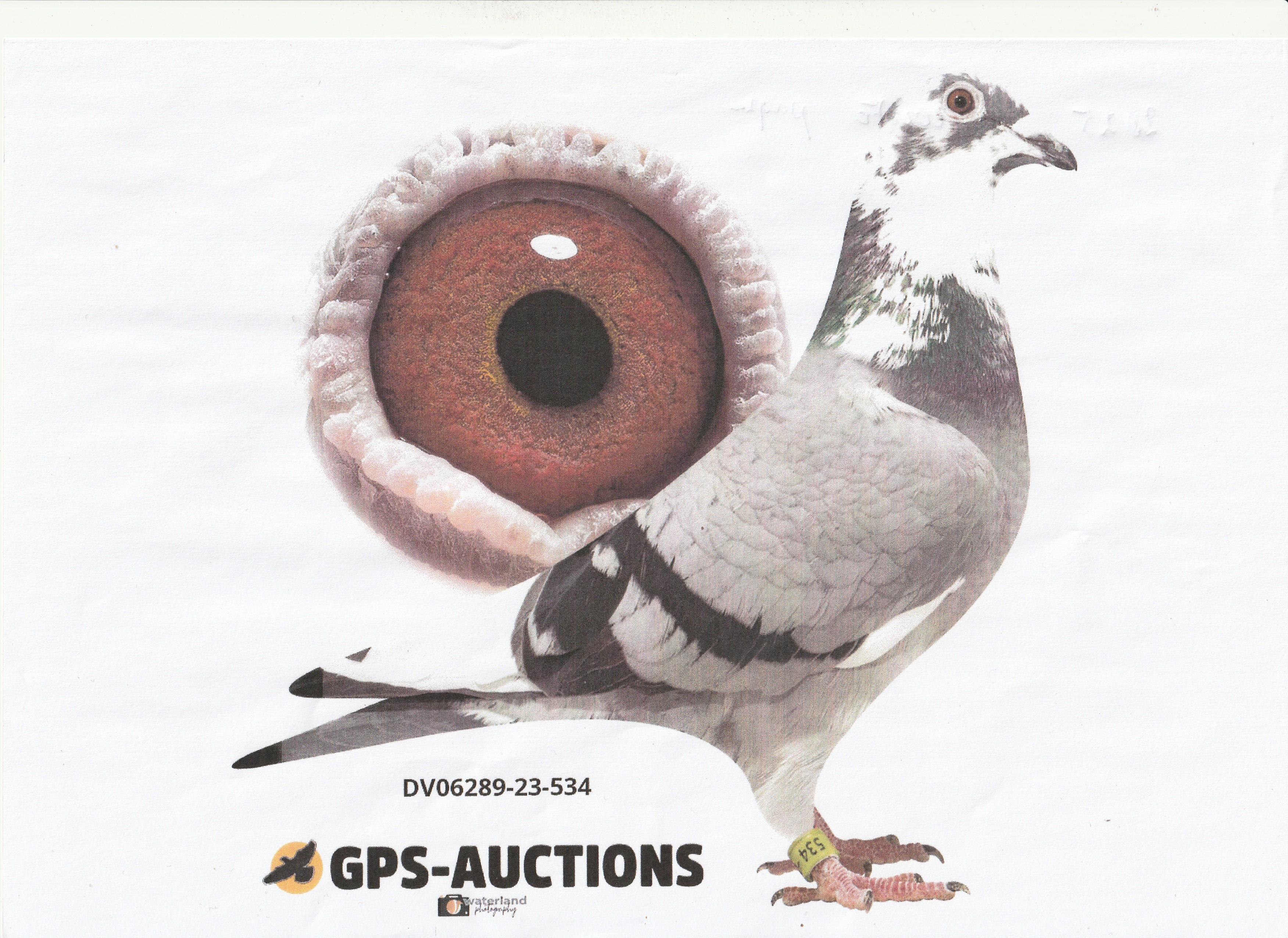 meert yves foto moeder