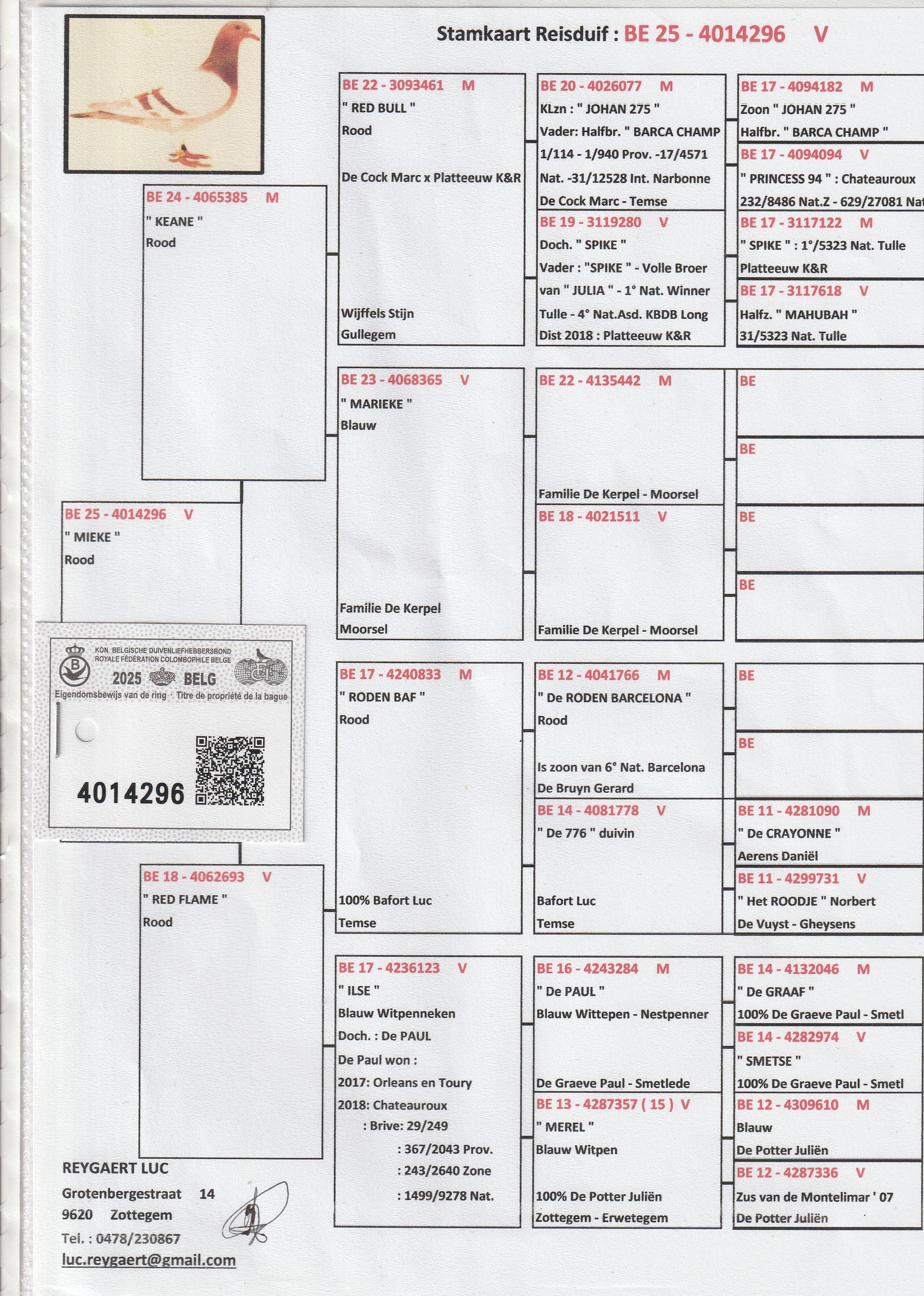 reygaert luc pedegree