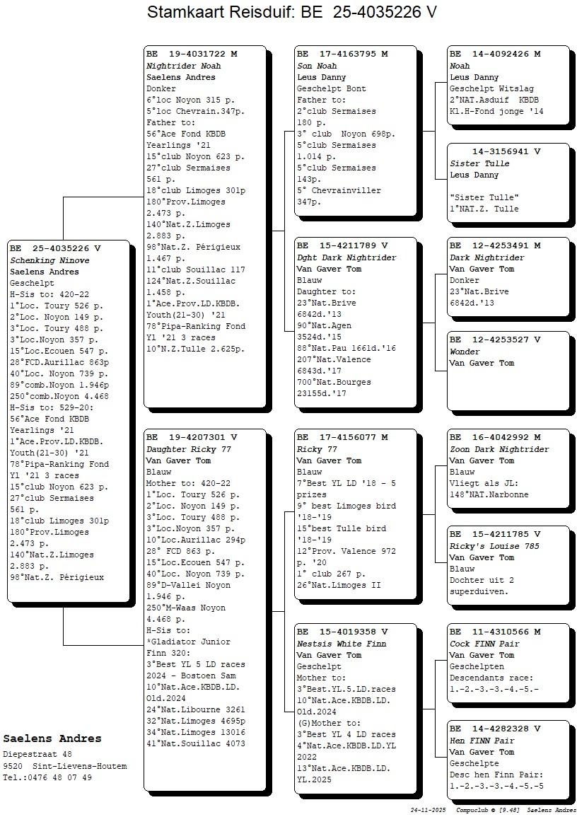 Saelens Andres pedegre 25-4035226