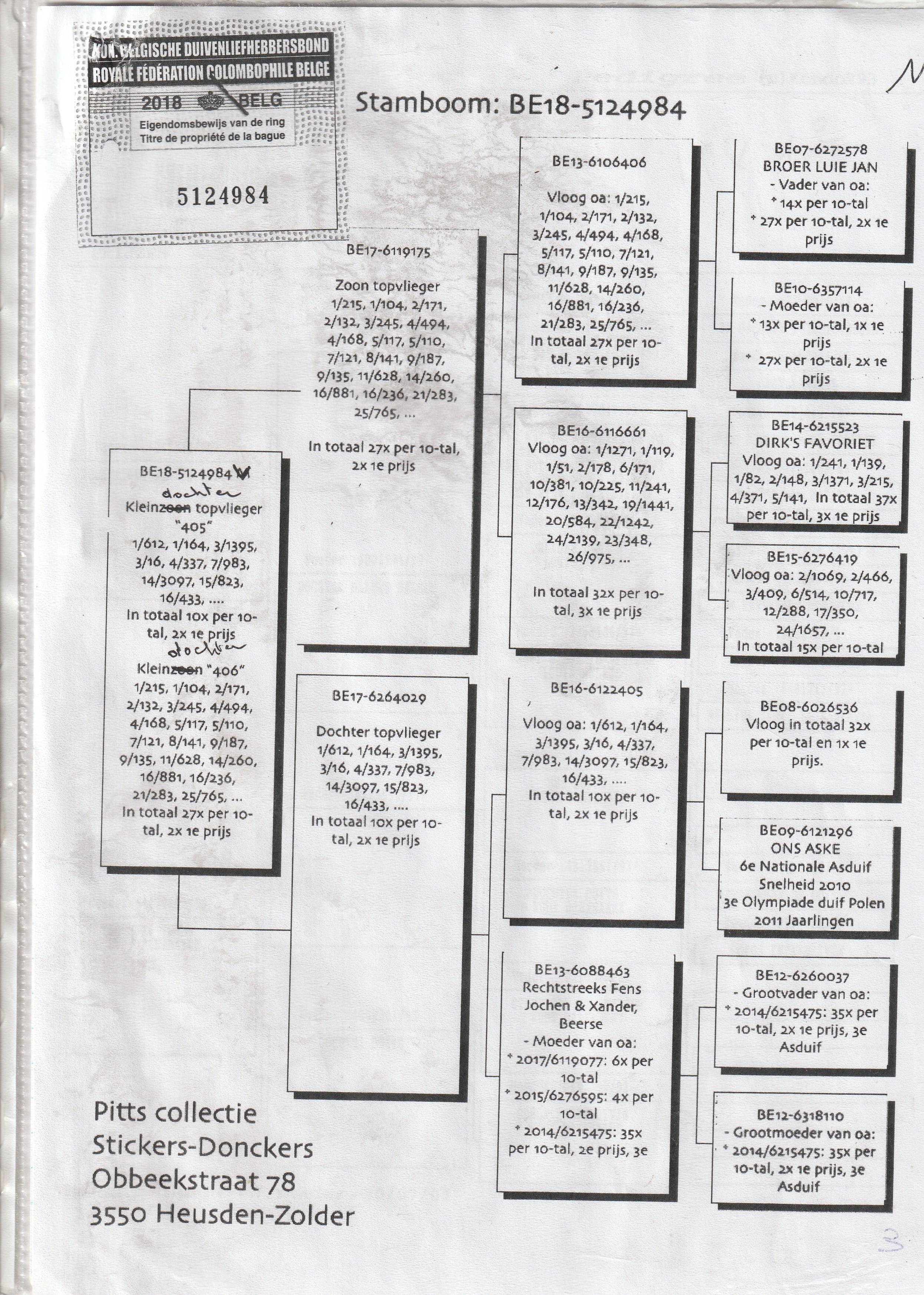 van den stockt laurent pedegree moeder