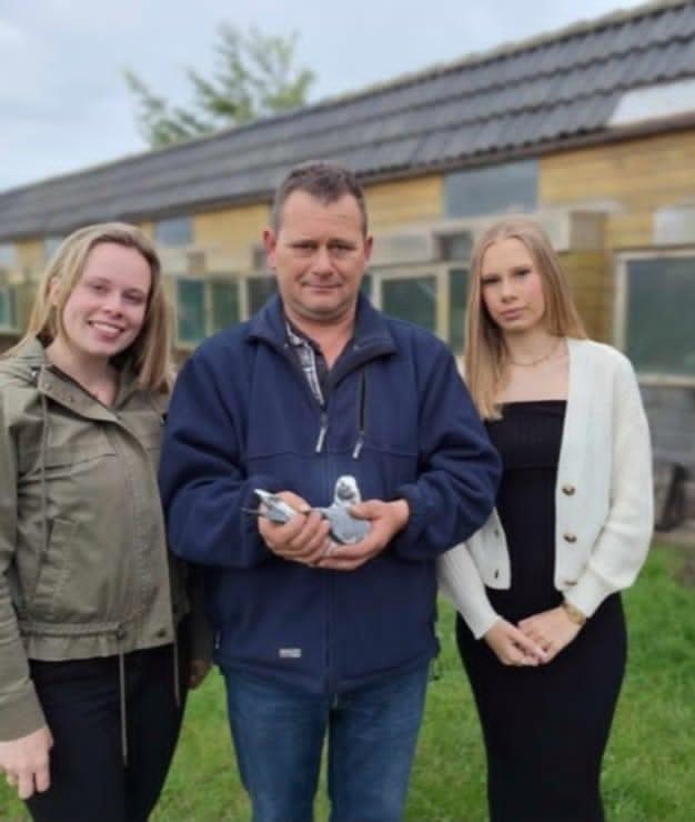 Gino Buffel( Hooglede) schenkt een jonge duif 2é ronde 2026 op afspraak