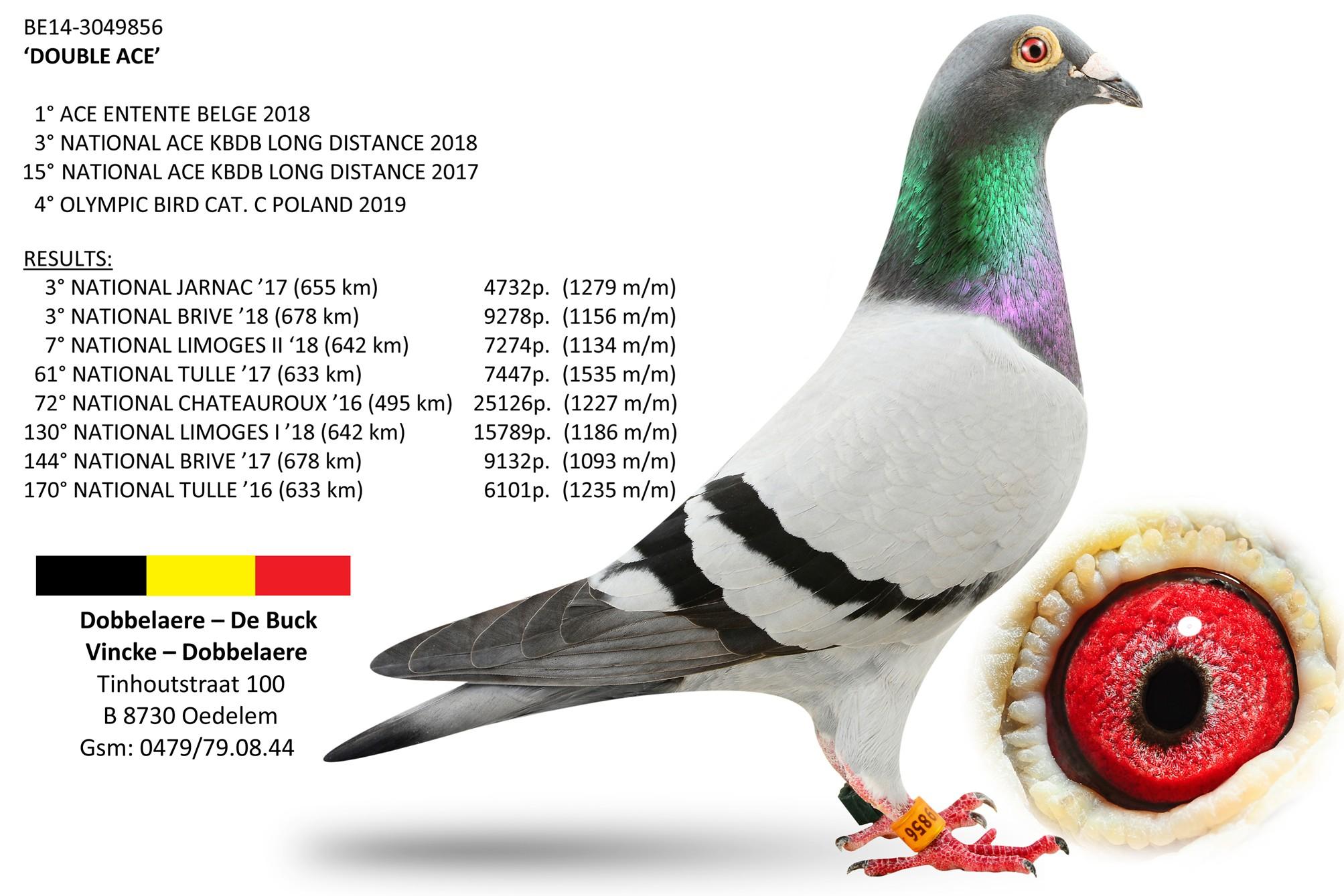 VAN HAVERBEKE - DOBBELAERE