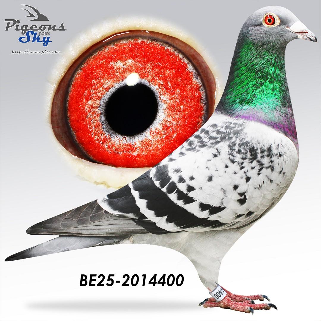 BE25-2014400