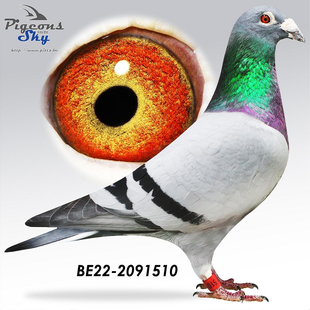 BE22-2091510