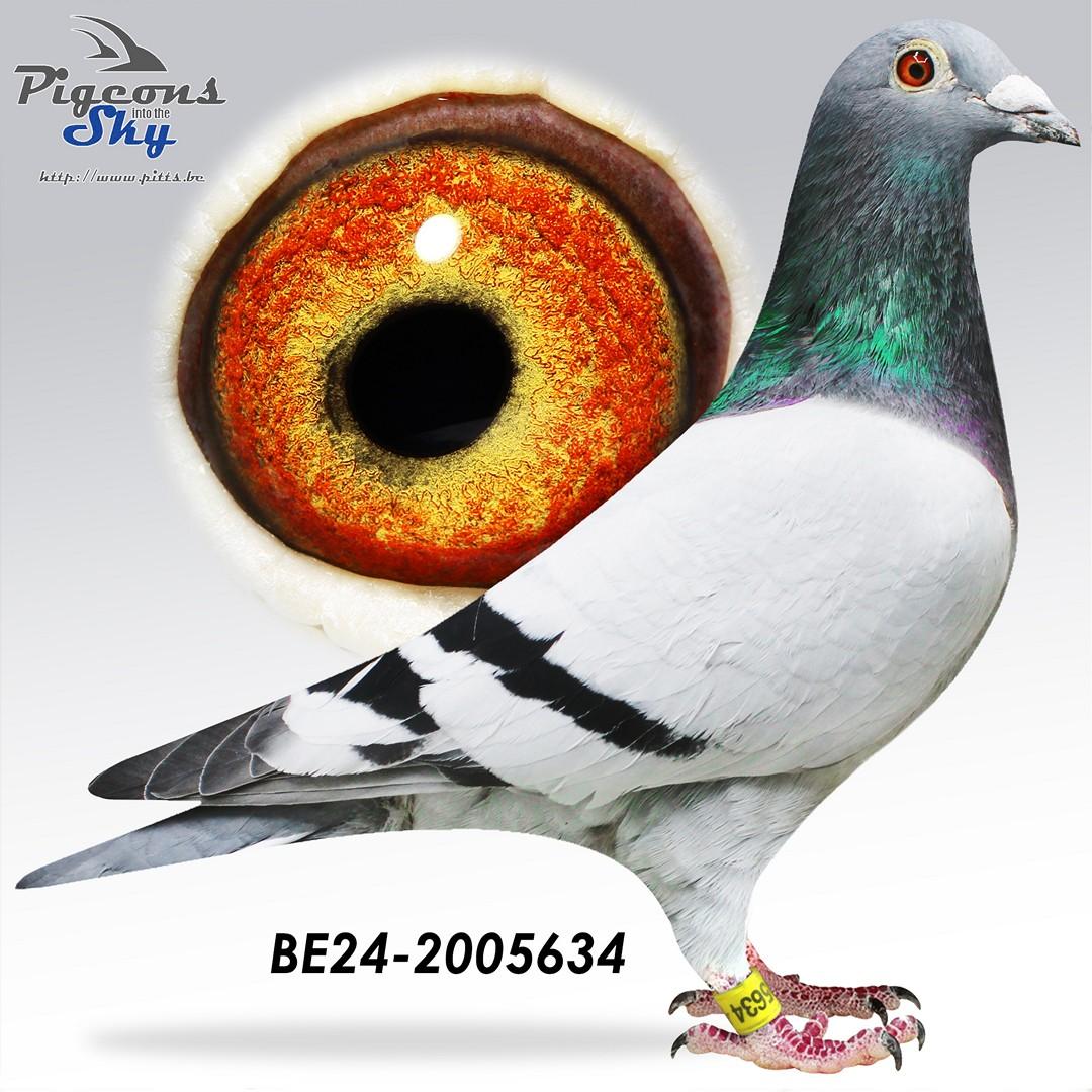 BE24-2005634