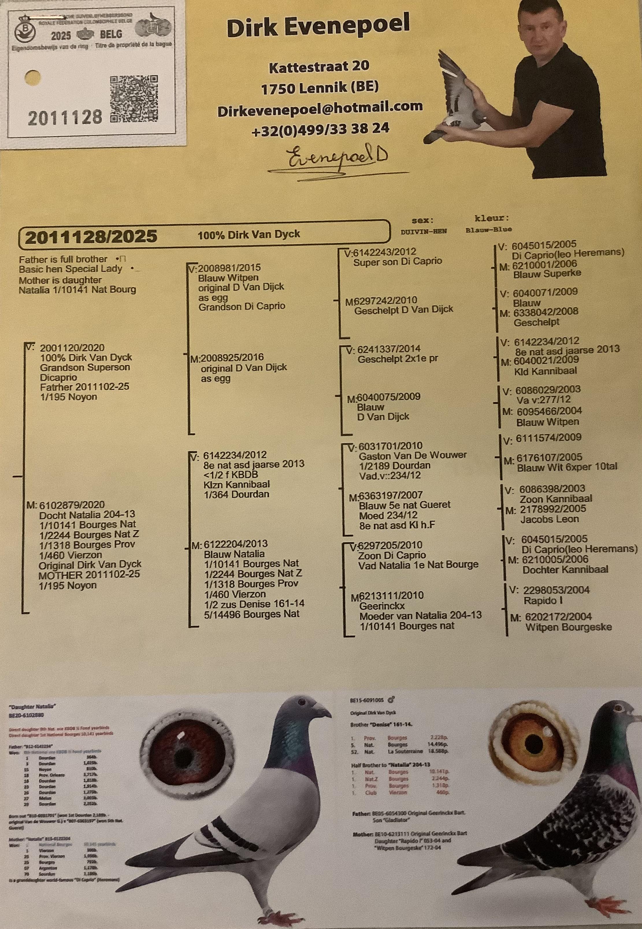 evenepoel dirk pedegree