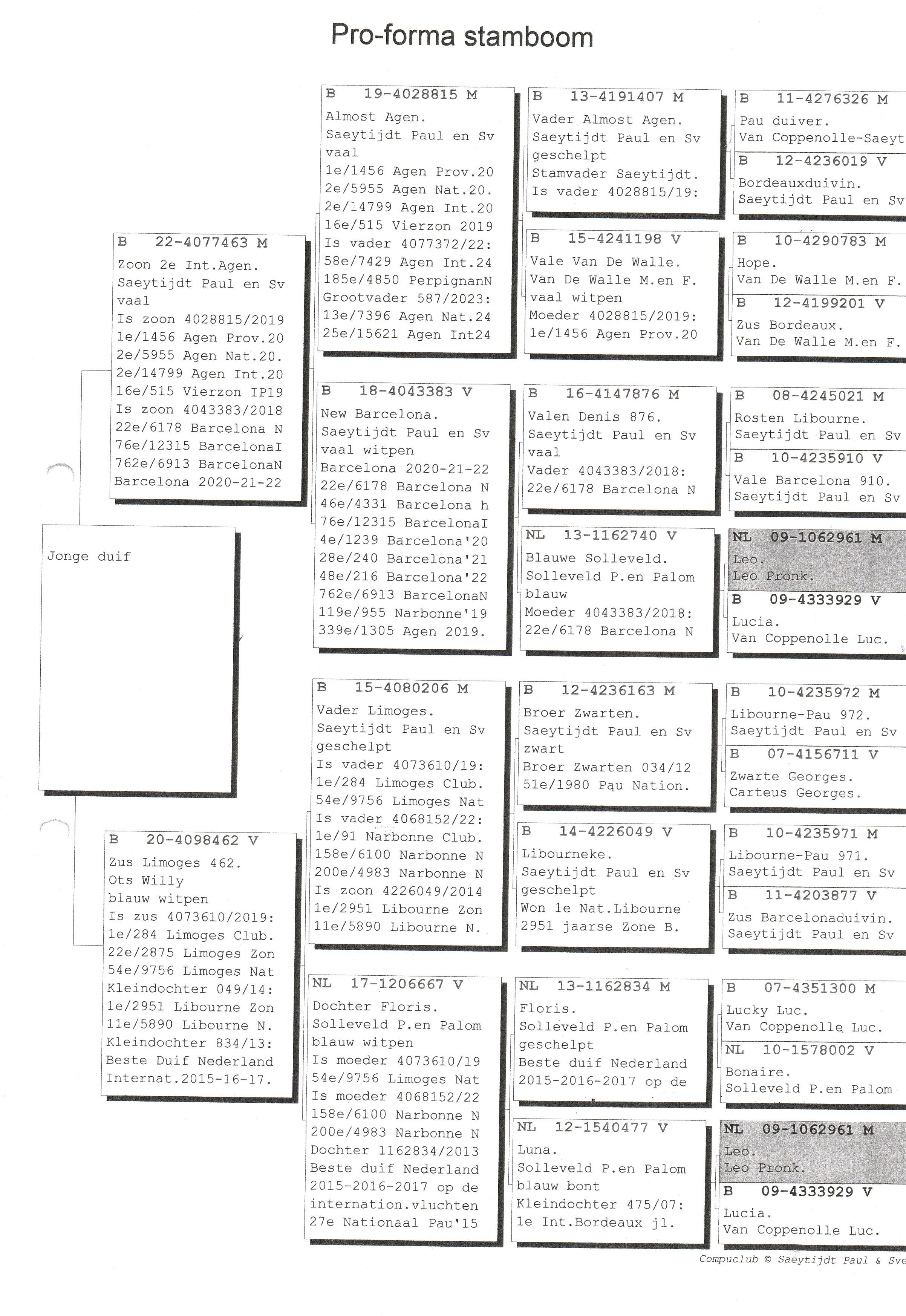 ots willy pedegree 2