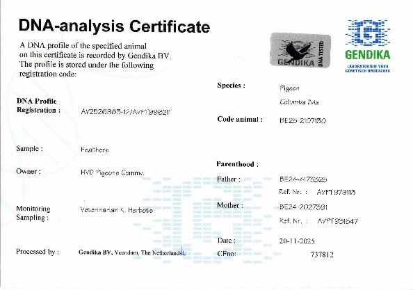 van droogenbroeck hannes dna