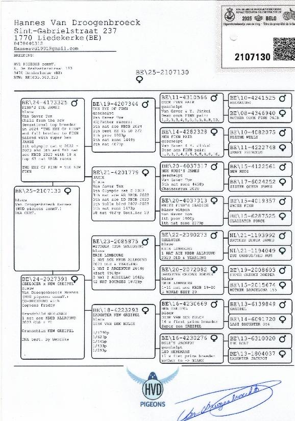 van droogenbroeck hannes pedegree