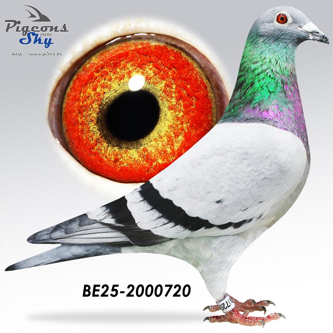 BE25-2000720