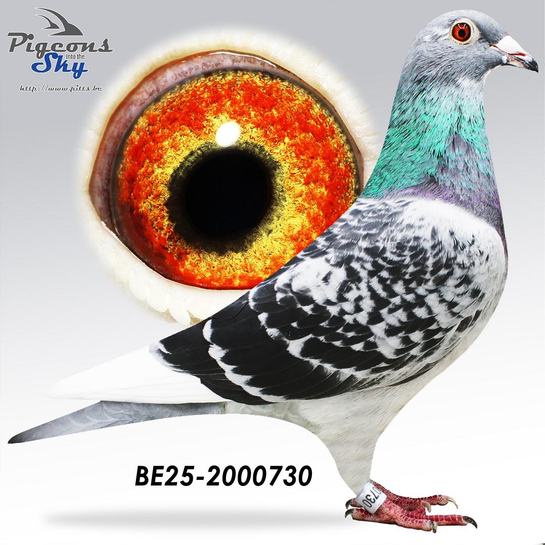 BE25-2000730