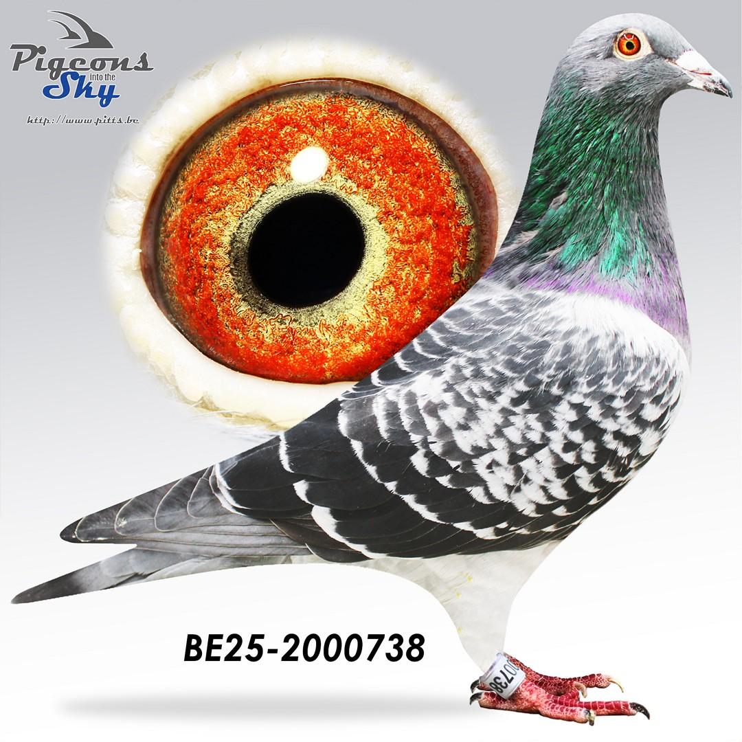 BE25-2000738