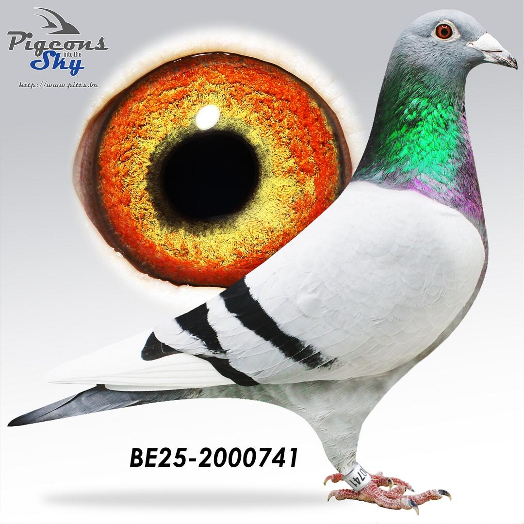 BE25-2000741