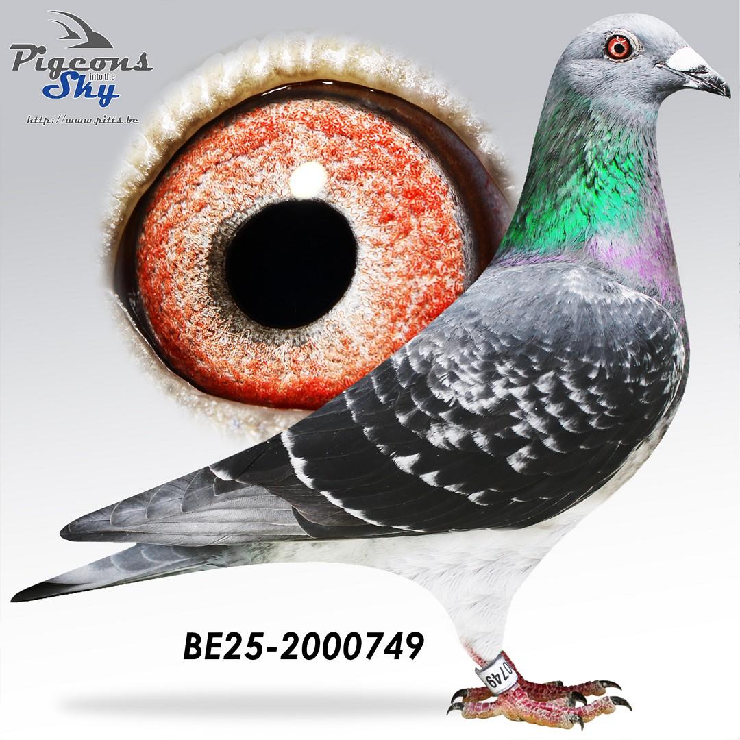 BE25-2000749