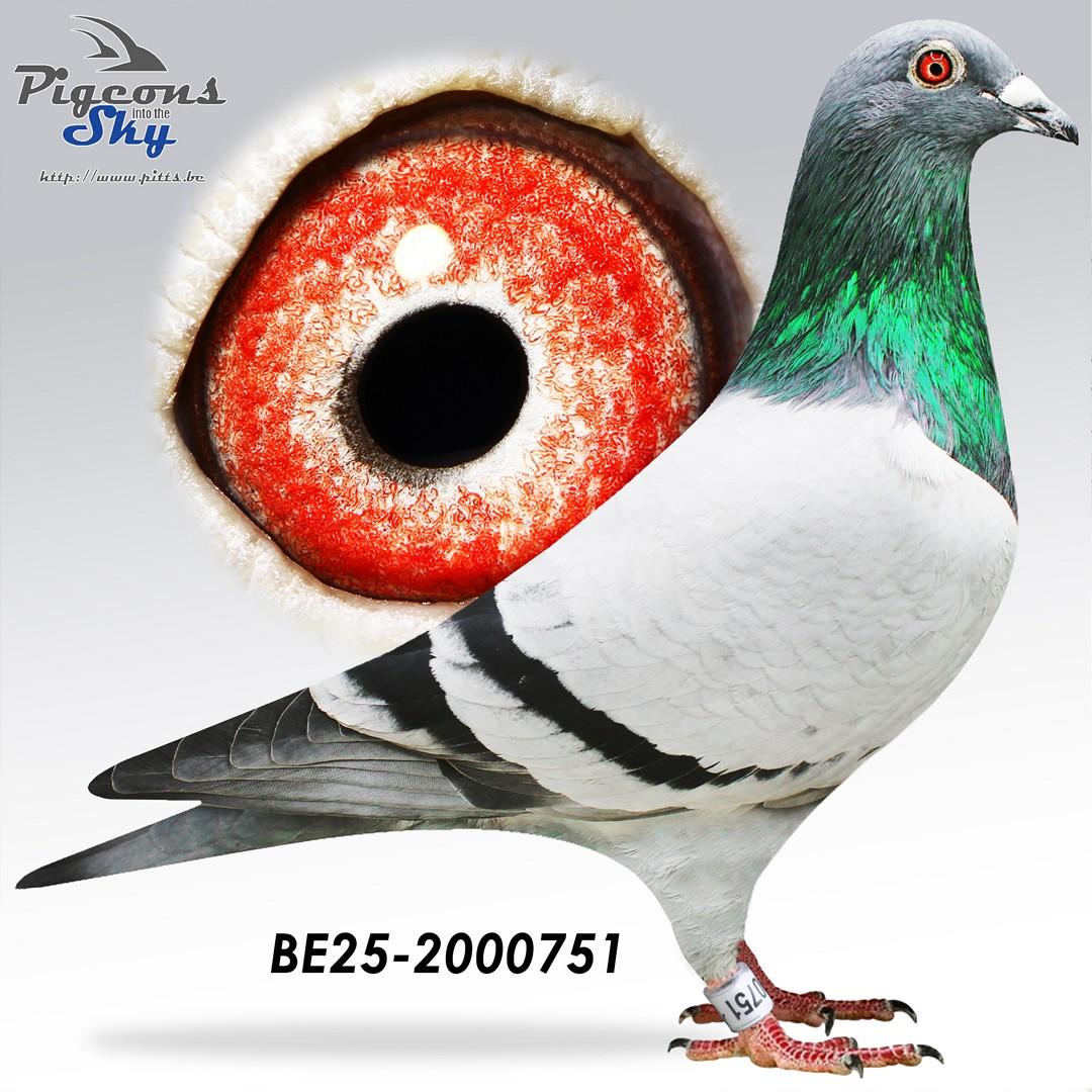 BE25-2000751